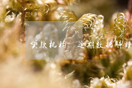 贷款机构 逾期数据解读 贷款机构 逾期数据解读